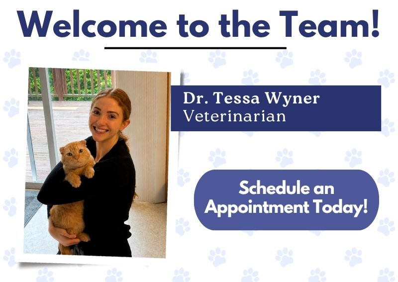 Carousel Slide 2: